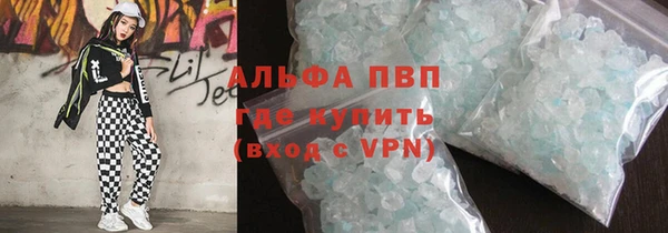 прущие грибы Абаза