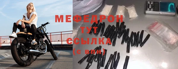 мдпв Ельня