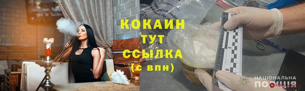 прущие грибы Абаза