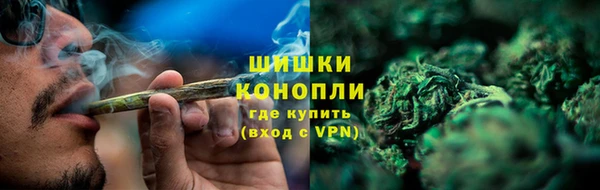 прущие грибы Абаза
