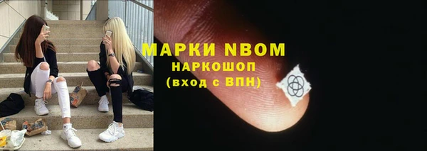 прущие грибы Абаза
