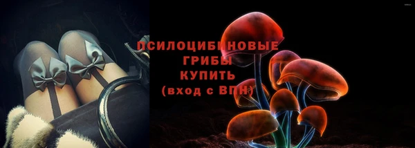 стаф Елабуга