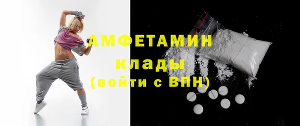 прущие грибы Абаза