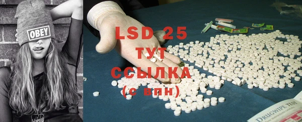 прущие грибы Абаза