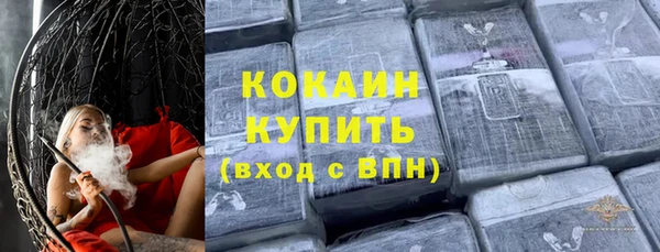 прущие грибы Абаза