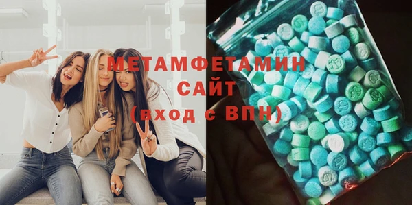 прущие грибы Абаза