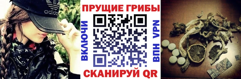 Галлюциногенные грибы Magic Shrooms  цена   Скопин 