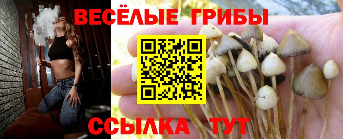 Скопин  купить закладку  Вход с VPN  Галлюциногенные грибы Magic Shrooms 